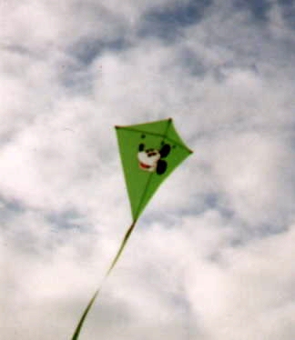 plain kites