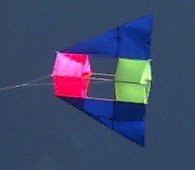 Delta Box Kite