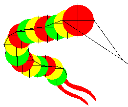 [Chinese Centipede]