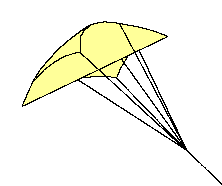 [Rogallo kite]